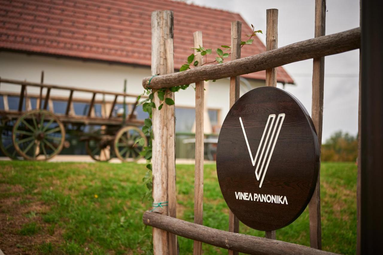 Vinea Panonika Wine & Mind Retreat Villa Radenci Exterior photo